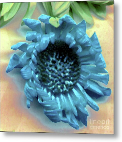  Metal Print featuring the photograph Daisy Blue by Heather Kirk