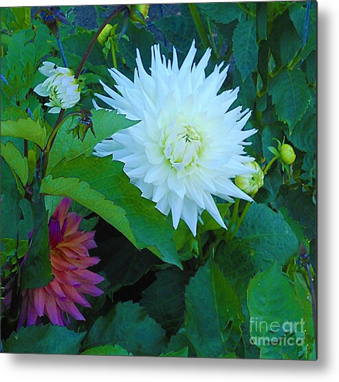 Flower Metal Print featuring the photograph Dance of Life by Joyce Creswell