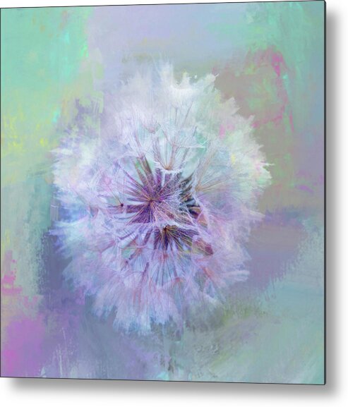 Photography Metal Print featuring the digital art Dandelion in Pastel by Terry Davis