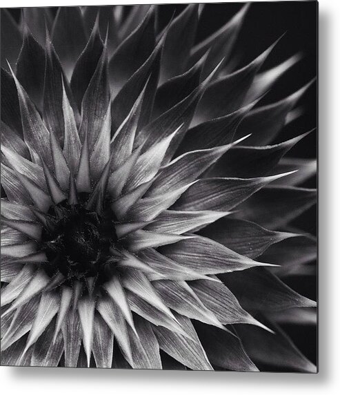 Rcspics Metal Print featuring the photograph Darkstar by Dave Edens