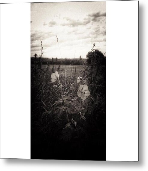 Lumia1520 Metal Print featuring the photograph Das Blühende Leben 
#lumia1520 #nokia by Mandy Tabatt