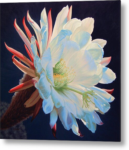 Flower Metal Print featuring the painting Daybreak Delight by Cheryl Fecht
