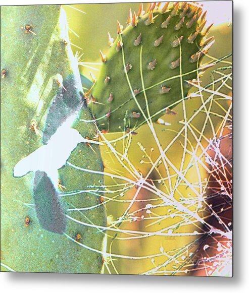 Bird Metal Print featuring the photograph Desert Spring by Kathy Bassett