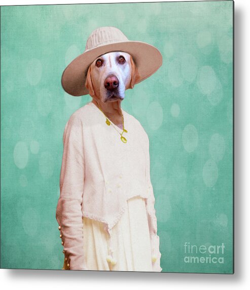Dog Metal Print featuring the digital art Desperate Housewife by Martine Roch