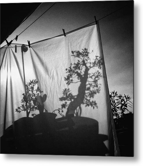 Lensculture Metal Print featuring the photograph D'ombres Chinoises

#shadow #bonsai by Rafa Rivas