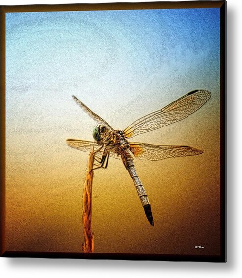 Dragonfly Art 15-01 Metal Print featuring the photograph Dragonfly Art 15-01 by Maria Urso