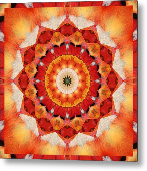 Mandalas Metal Print featuring the photograph Dreaming by Bell And Todd