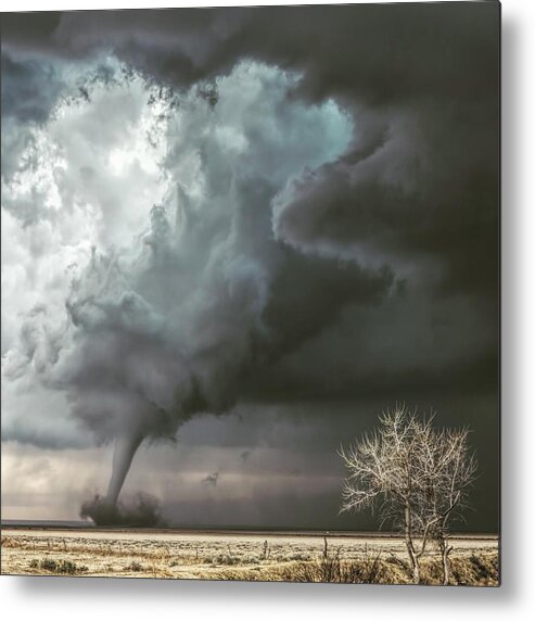 Eads Metal Print featuring the photograph Eads by Lena Sandoval-Stockley