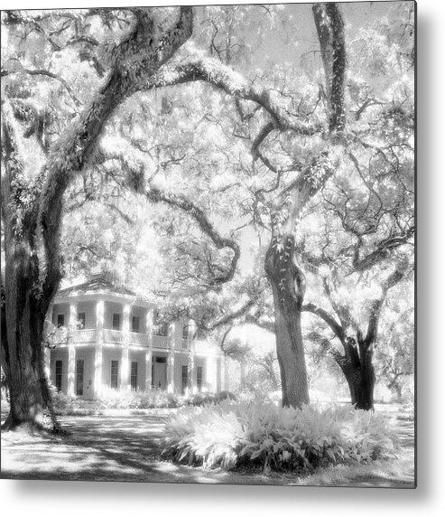 Black And White Photograph Metal Print featuring the photograph Eden Plantation A Florida State Park by John Harmon