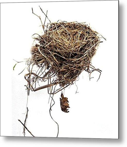 Art Metal Print featuring the photograph Empty Nest
blown Out Of A by Larry Braun