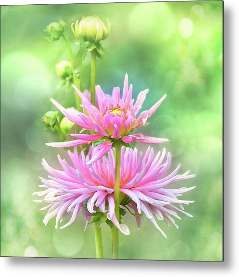 Metal Print featuring the photograph Enduring Grace by John Poon