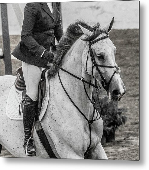 Horse Metal Print featuring the photograph Entry Circle Show Jumping by Betsy Knapp