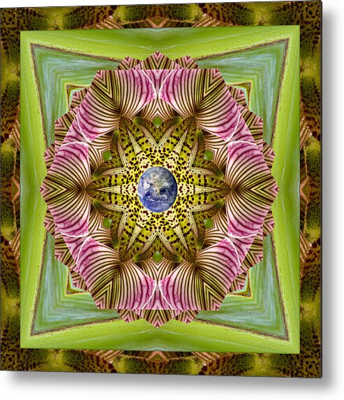 Mandalas Metal Print featuring the photograph EpiCenter by Bell And Todd