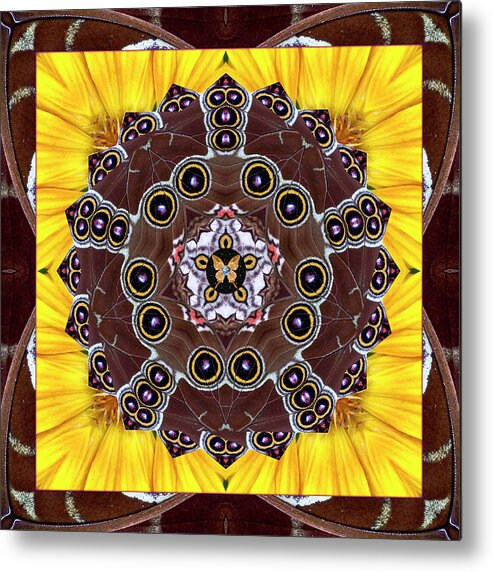 Yoga Art Metal Print featuring the photograph Eyes of Earth by Bell And Todd