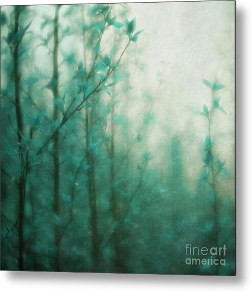 Blue Metal Print featuring the photograph In the deep forest 2 by Priska Wettstein