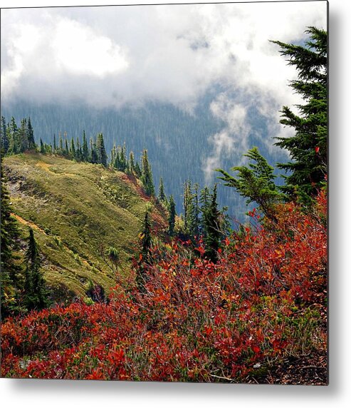 Trees Metal Print featuring the photograph Fall at Artist's Point by Sandra Peery