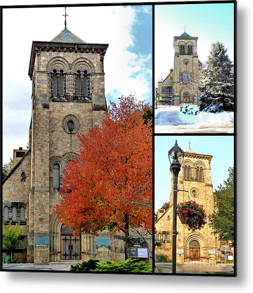 Seasons Metal Print featuring the photograph Fall Winter Summer by Janice Drew