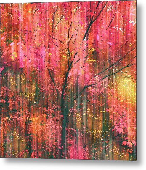 Autumn Metal Print featuring the photograph Falling into Autumn by Jessica Jenney