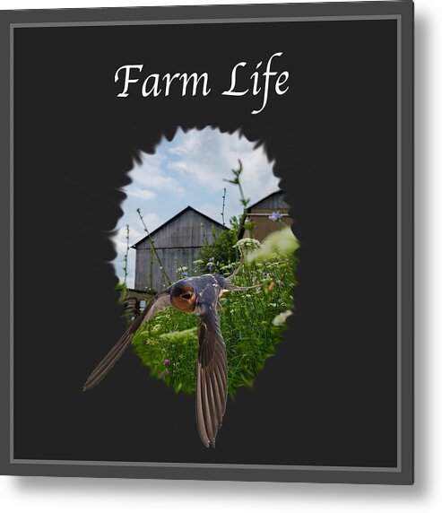 Farm Metal Print featuring the photograph Farm Life by Holden The Moment