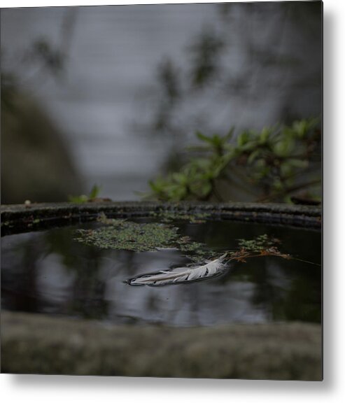 Pond Metal Print featuring the photograph A Feeling of Floating Weightlessly by Marilyn Wilson