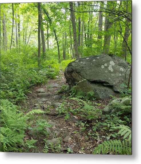 Path Metal Print featuring the photograph Find Your Path by Vic Ritchey