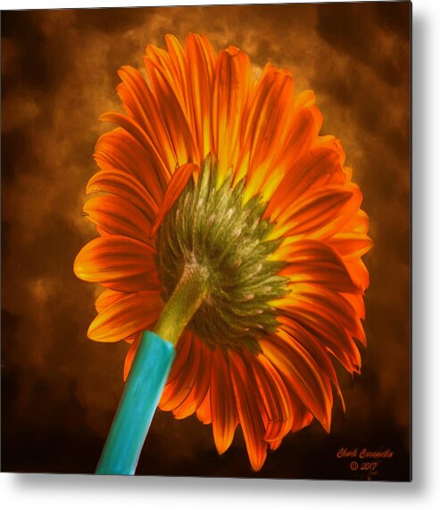 Fine Art Photography Metal Print featuring the photograph Flower ... by Chuck Caramella