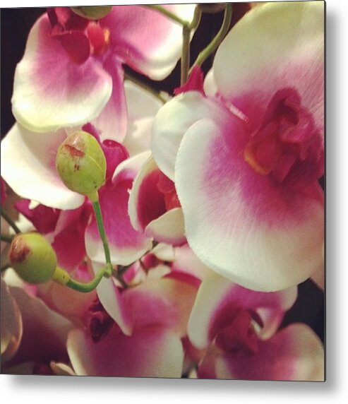 Beautiful Metal Print featuring the photograph #flowers #instagood #beautiful #pink by Shyann Lyssyj 