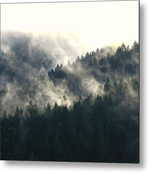 Oregon Metal Print featuring the photograph Fog Moving Through The Hills by KATIE Vigil
