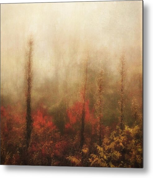 Photography Metal Print featuring the photograph Foggy Fall on the Parkway by Melissa D Johnston