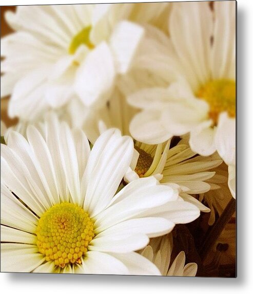 Flowers Metal Print featuring the photograph For You. #flowers #daisies by Invisible Cirkus