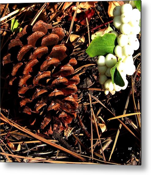 Forest Floor Metal Print featuring the photograph Forest Floor by Will Borden