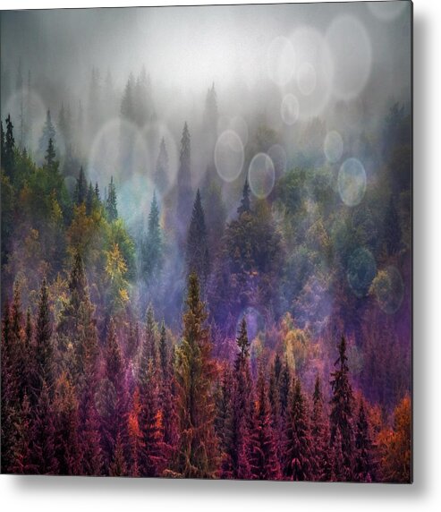 Four Seasons Forest Metal Print featuring the photograph Four Seasons Forest by Marianna Mills