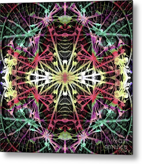 Fractals Metal Print featuring the digital art Fractal Harmony 1b by Walter Neal