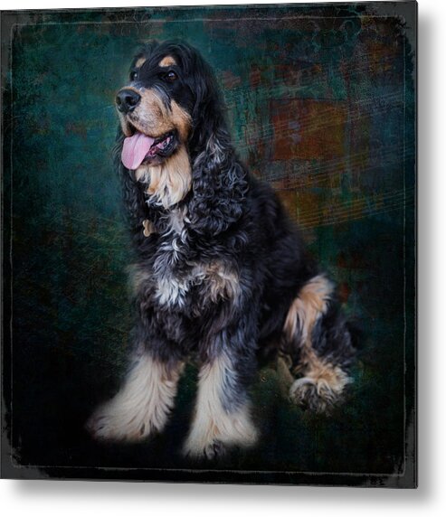 Dog Metal Print featuring the photograph Fred the Dog by Keith Hawley