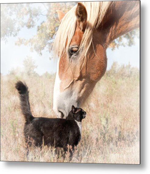 Friendship Metal Print featuring the photograph Dreamy Friendship by Sari ONeal