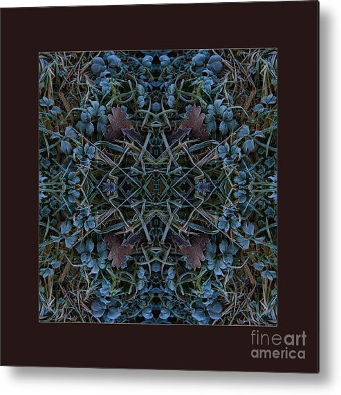 Dawn Frostings Metal Print featuring the photograph Frostings 4 Reflected by Paul Davenport