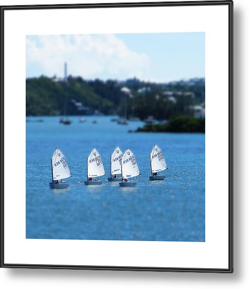 Richard Reeve Metal Print featuring the photograph Gallery Image - Small World by Richard Reeve