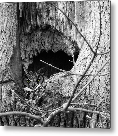 Gho Bw Metal Print featuring the photograph Gho Bw by Dark Whimsy