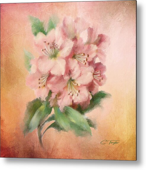 Pink Flower Metal Print featuring the painting Glowing Incantation by Colleen Taylor
