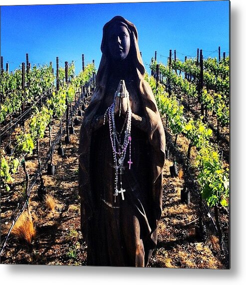 Vineyard Metal Print featuring the photograph God Bless The Vino by Paul Staphorsius