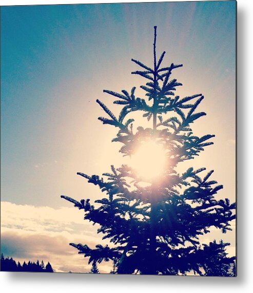 Pocket_trees Metal Print featuring the photograph Good Morning Sunshine😊 This Time Of by Blenda Studio