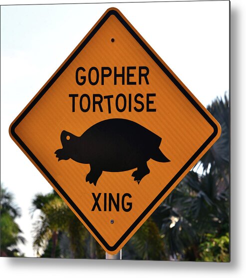 Everglades Metal Print featuring the photograph Gopher Tortoise crossing sign by David Lee Thompson