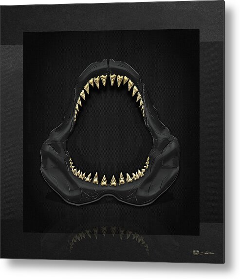 �black On Black� Collection By Serge Averbukh Metal Print featuring the photograph Great White Shark Jaws with Gold Teeth by Serge Averbukh