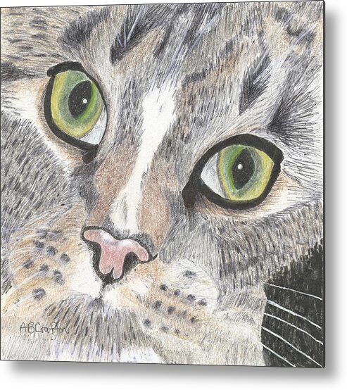 Cat Metal Print featuring the drawing Green Eyes by Arlene Crafton
