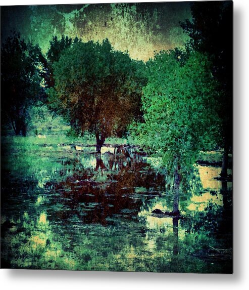 Photography Metal Print featuring the photograph Greenscape by Kathleen Messmer