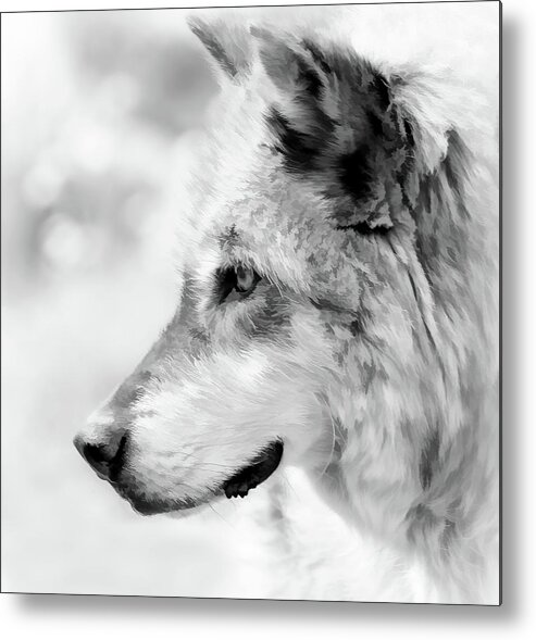 Wolf Metal Print featuring the photograph Grey Wolf Close Up by Athena Mckinzie
