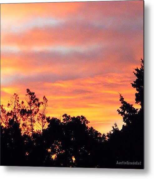 Beautiful Metal Print featuring the photograph #halloween #morning #sky Is On #fire by Austin Tuxedo Cat