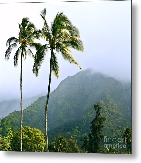 Kauai Metal Print featuring the photograph Hanalei by Roselynne Broussard