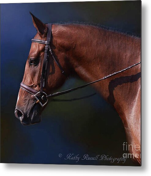 Horse Metal Print featuring the photograph Handsome Profile by Kathy Russell