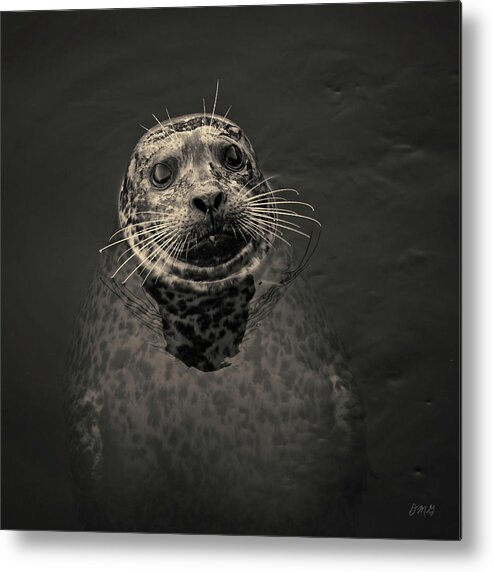 Seal Metal Print featuring the photograph Harbor Seal III Toned SQ by David Gordon